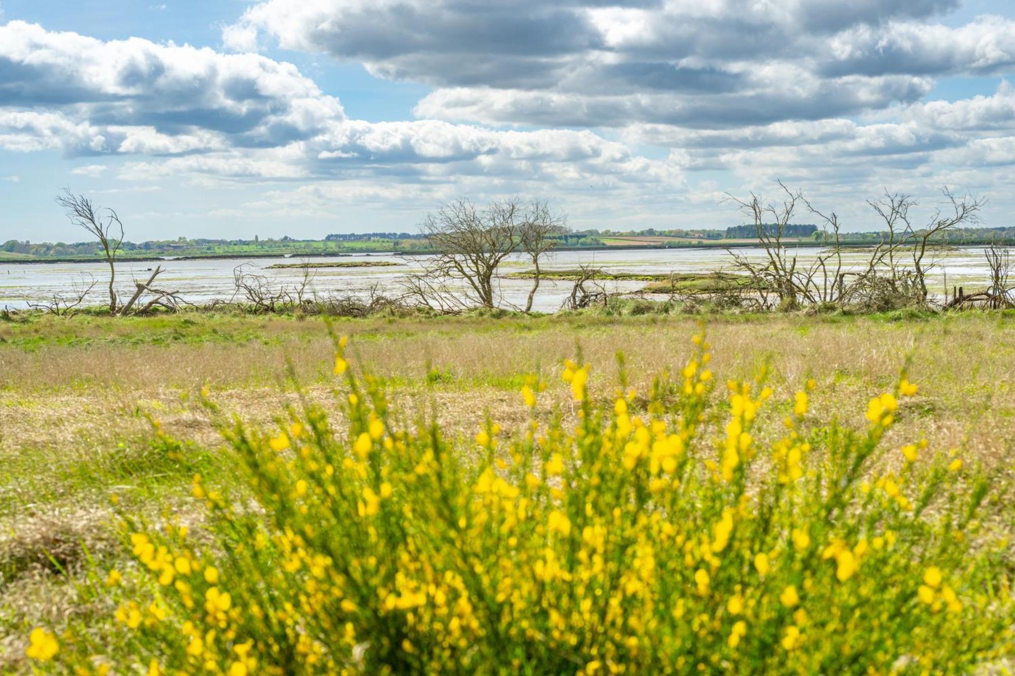 Villa Marsh View Aldeburgh Exterior foto